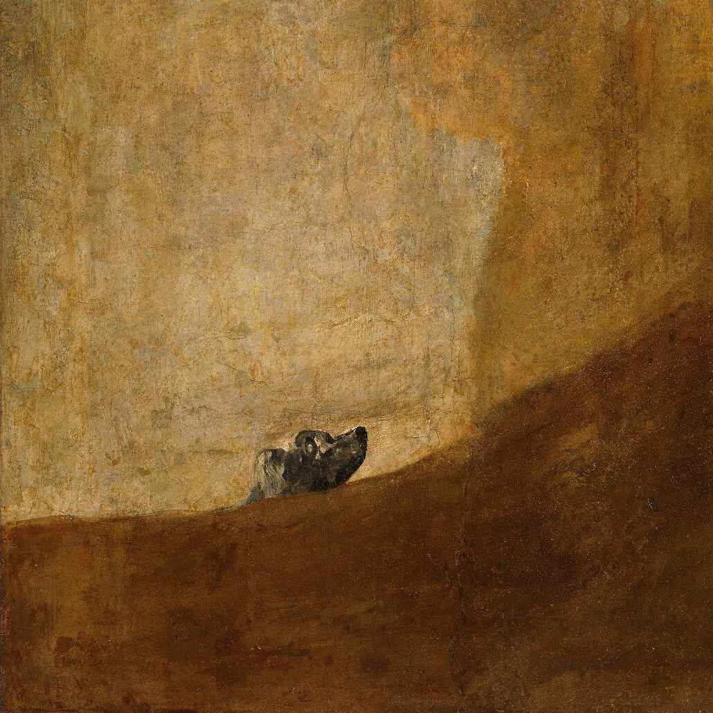 Perro semihundido, Goya